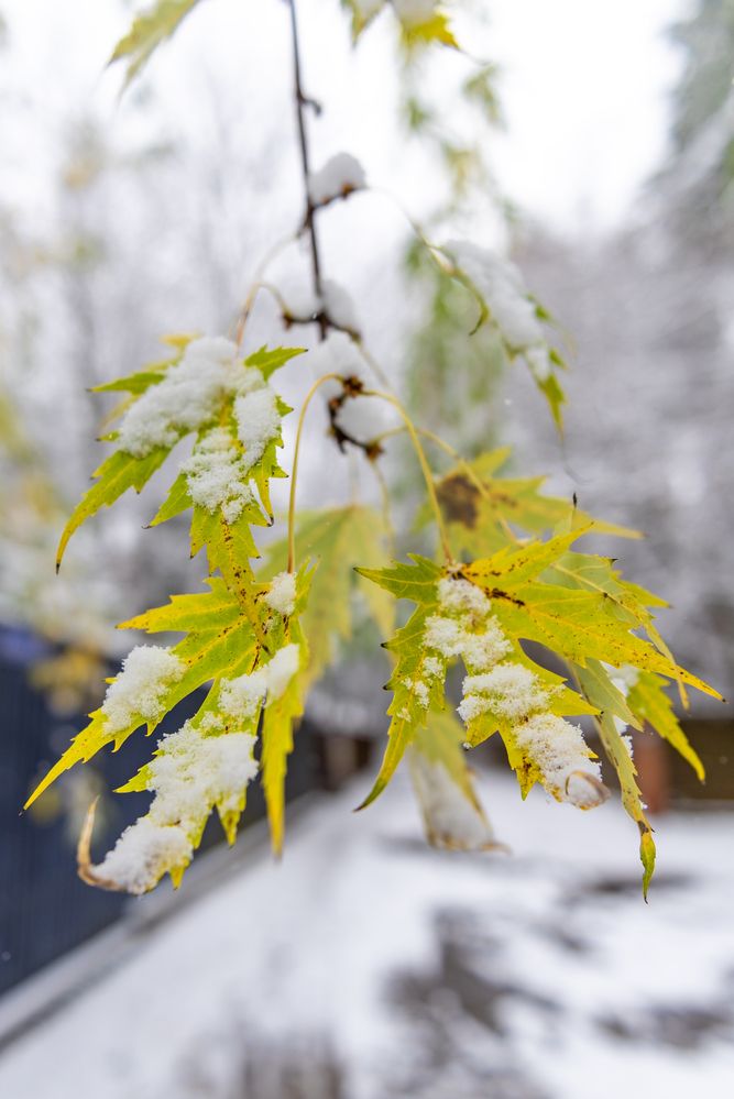 Photograph by Алексей Новиков