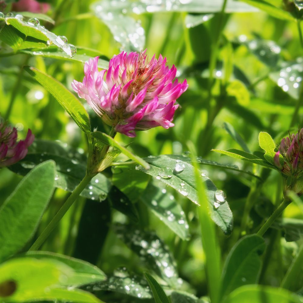 Photograph by Юлия Морозова