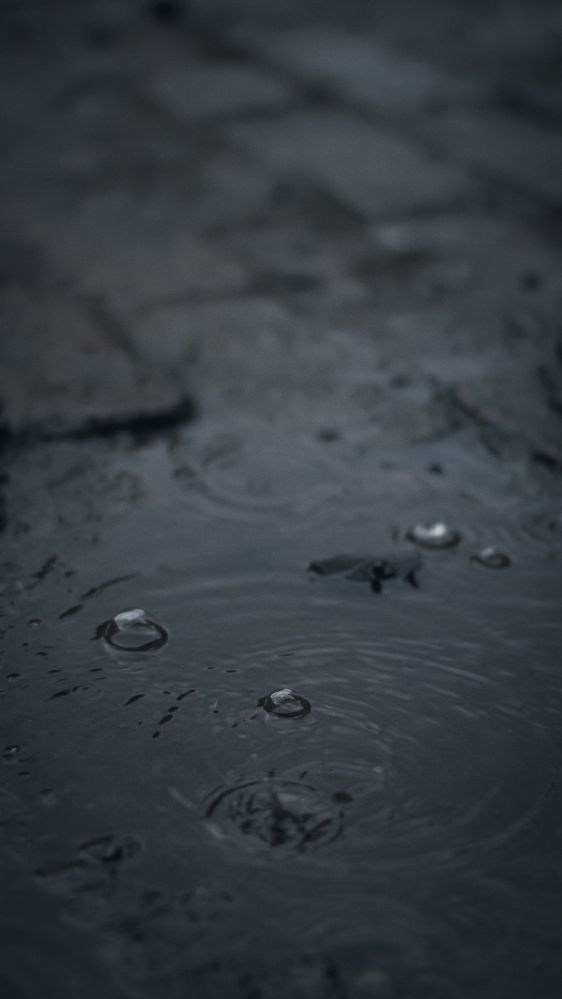 Photograph by Carina miñio