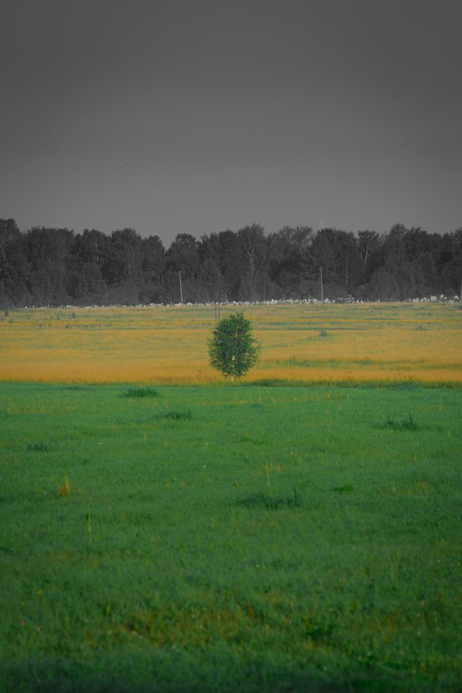 Photograph by Олег Бережных