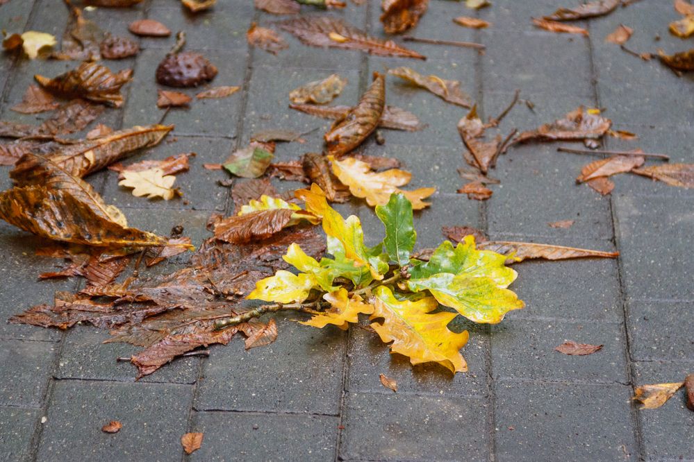 Photograph by Pavel Gukov