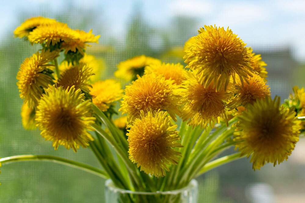 Photograph by Назмутдинова Сауия