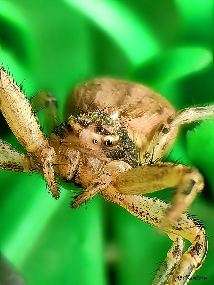Photograph by Евгений Замковой