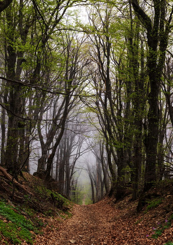 Photograph by Анна Бокова