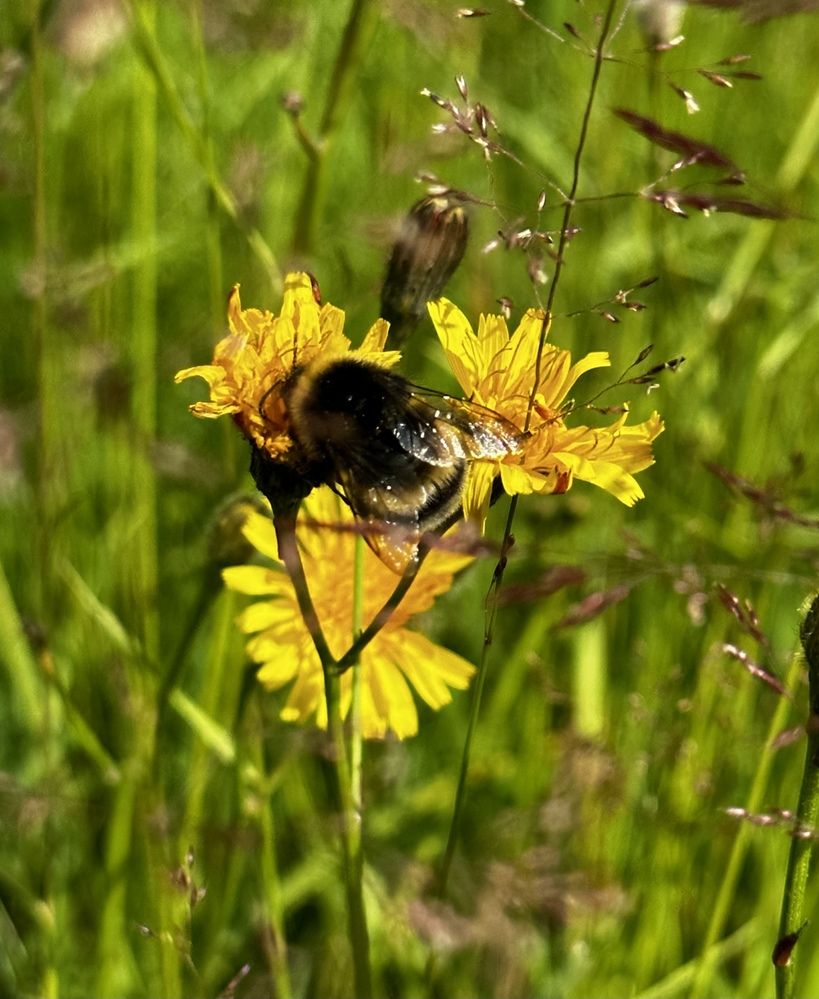 Фотография автора Татьяна Егорова