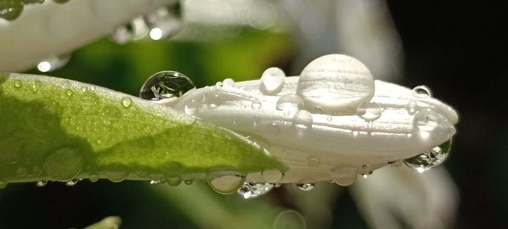 Photograph by Татьяна Стаскевич