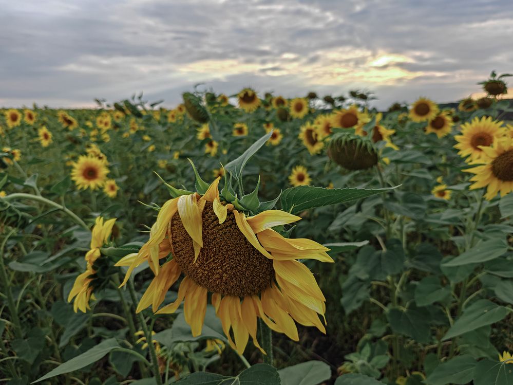 Photograph by Андрей Пучков