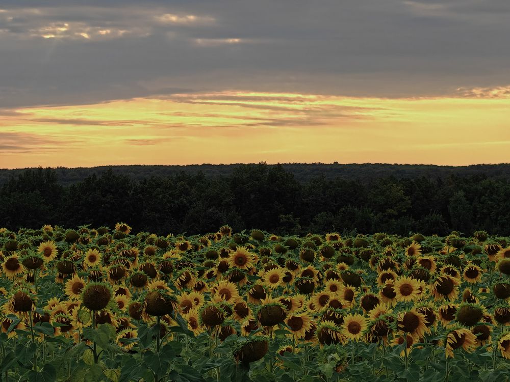 Photograph by Андрей Пучков