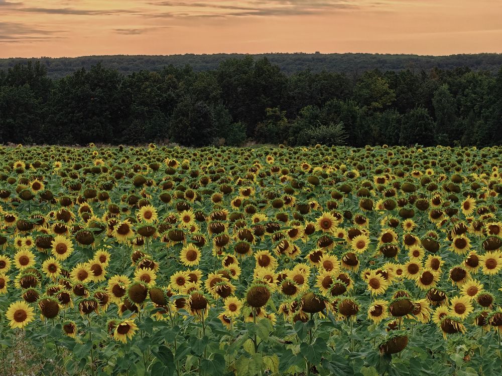 Photograph by Андрей Пучков
