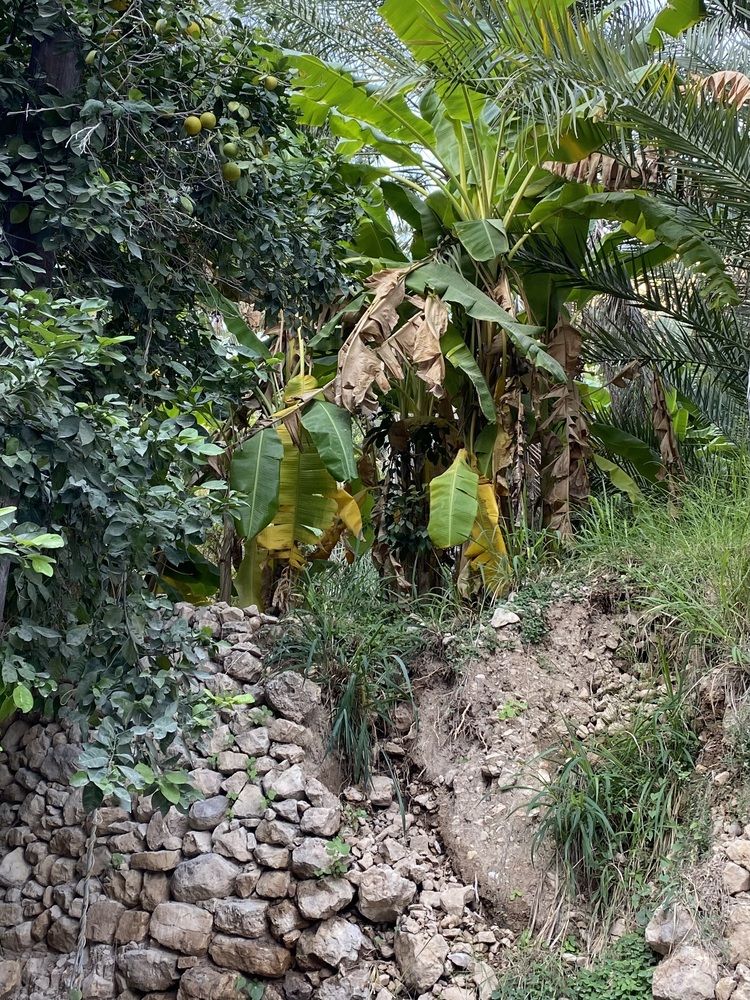 Photograph by Waleed Yousuf Alwahaibi