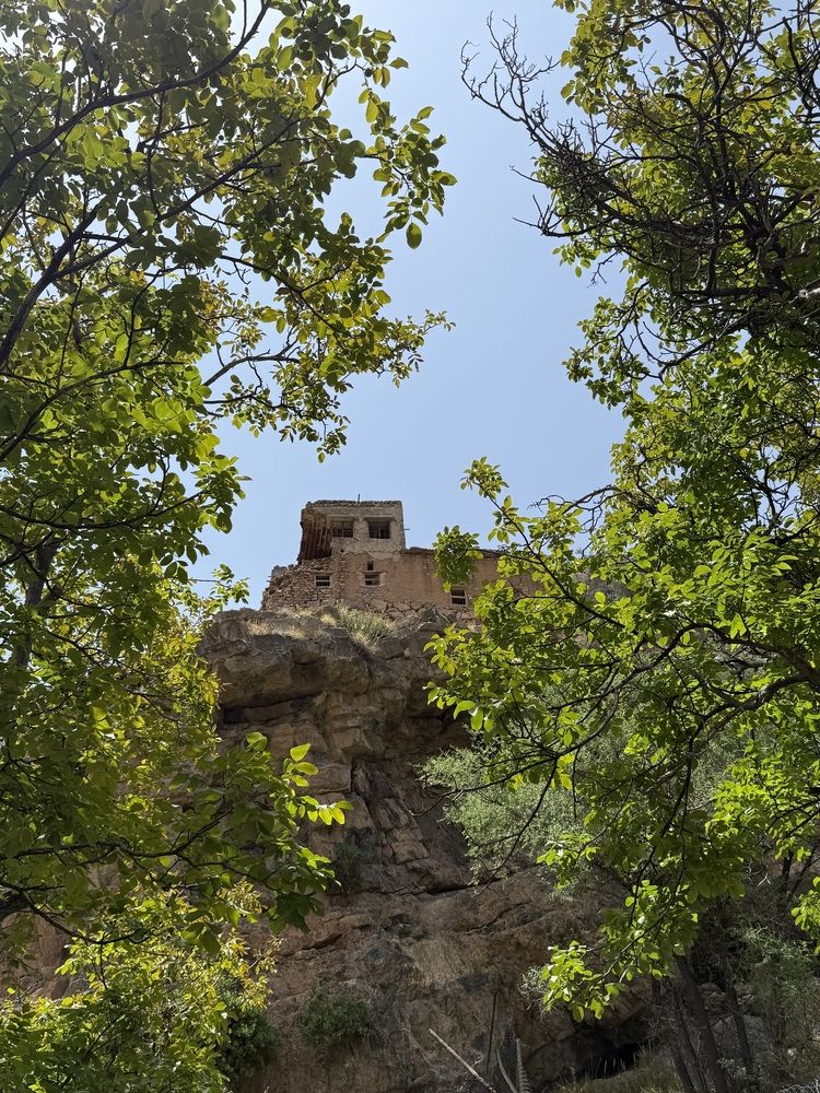 Photograph by Waleed Yousuf Alwahaibi