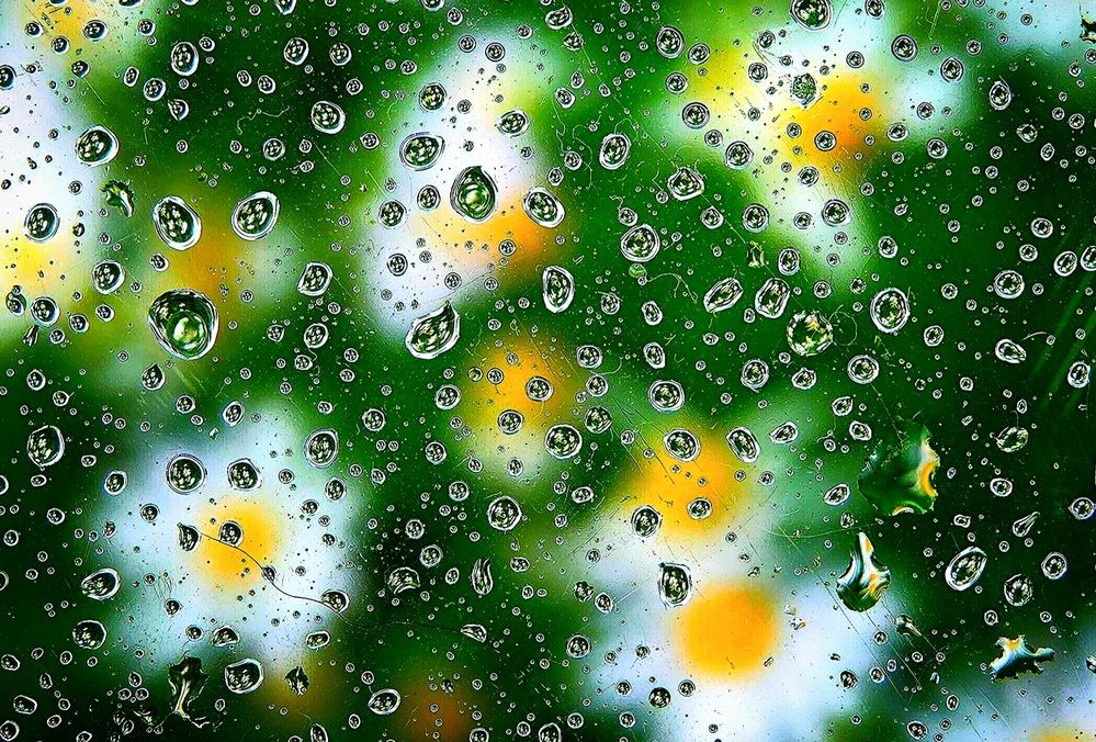 Природный ералаш.