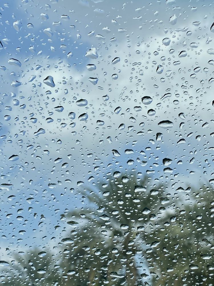 Photograph by Waleed Yousuf Alwahaibi