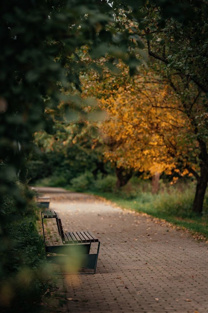 Photograph by Angelina Bukina