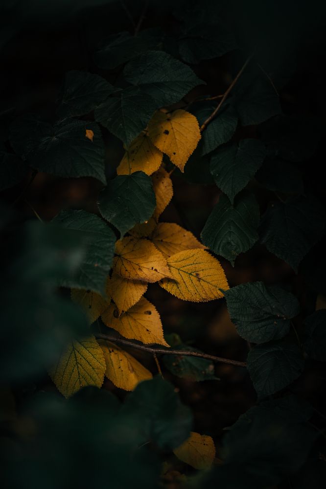 Photograph by Angelina Bukina