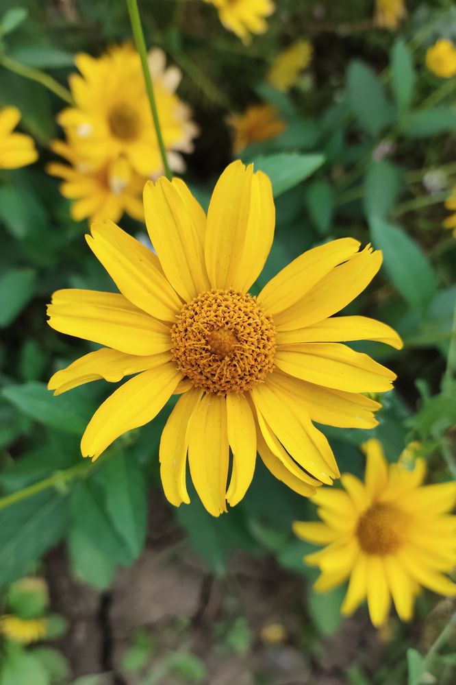 Photograph by Алексей