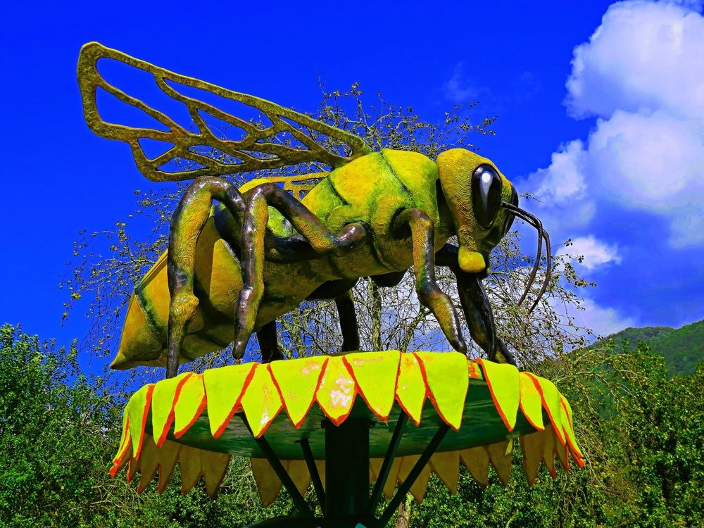 Большая пчела