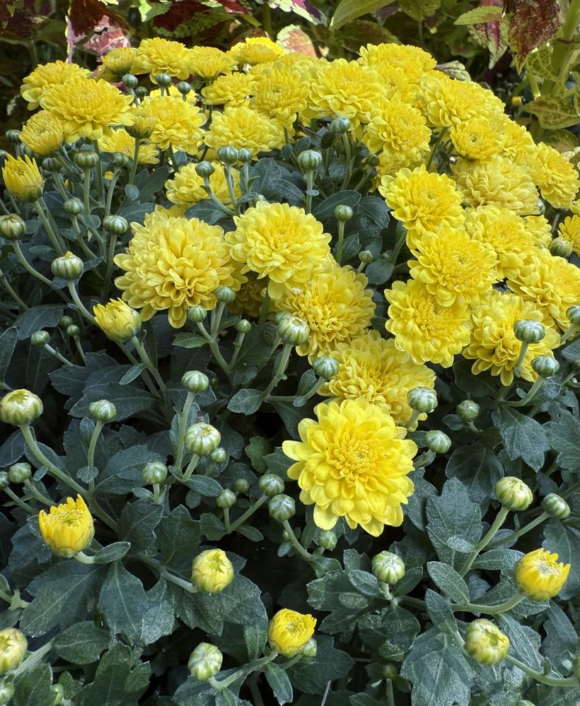 Photograph by Elena Edeleva