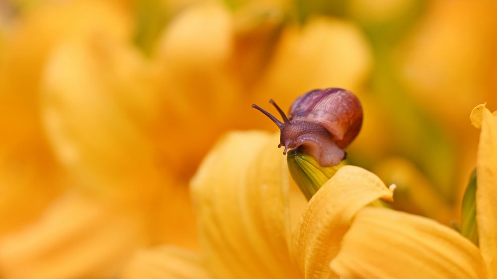 Photograph by Виктория Шажко