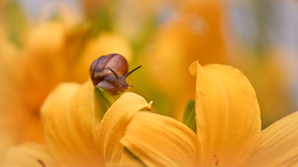 Photograph by Виктория Шажко
