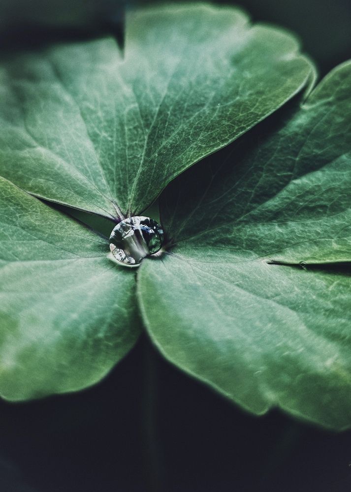 Photograph by Oxana Petlina