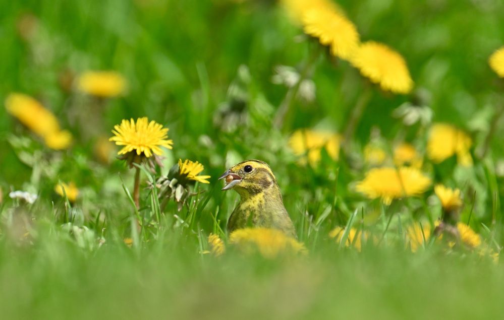 Photograph by Виктория Шажко