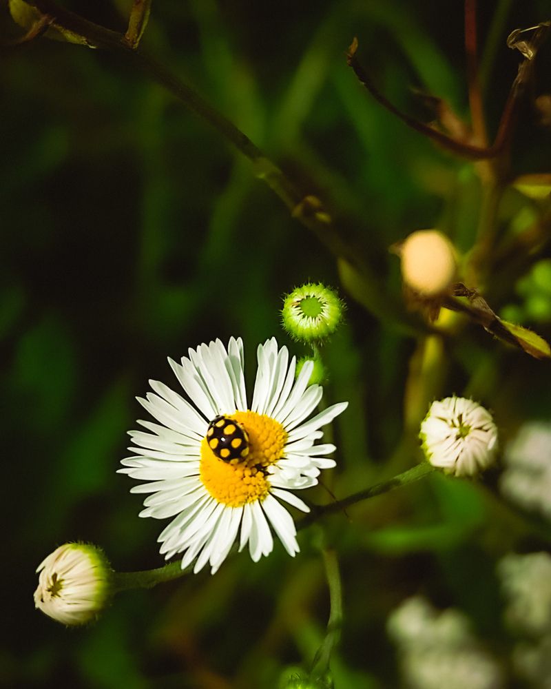 Photograph by Дарья