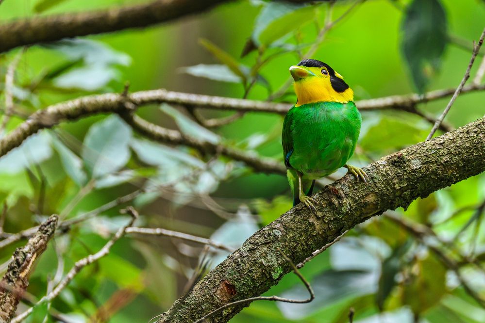 Photograph by Shalini Jain