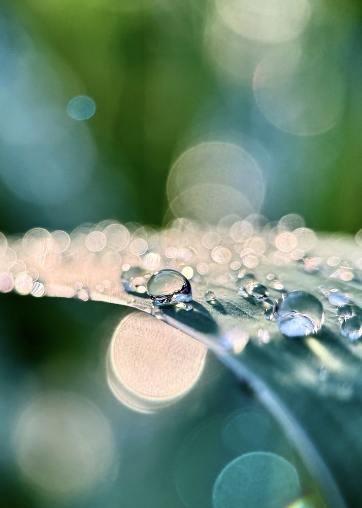 Photograph by Oxana Petlina