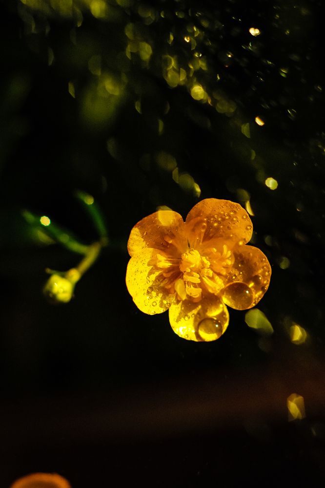 Photograph by Denis Naryshev