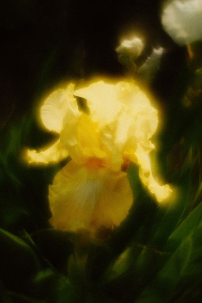 Photograph by Denis Naryshev