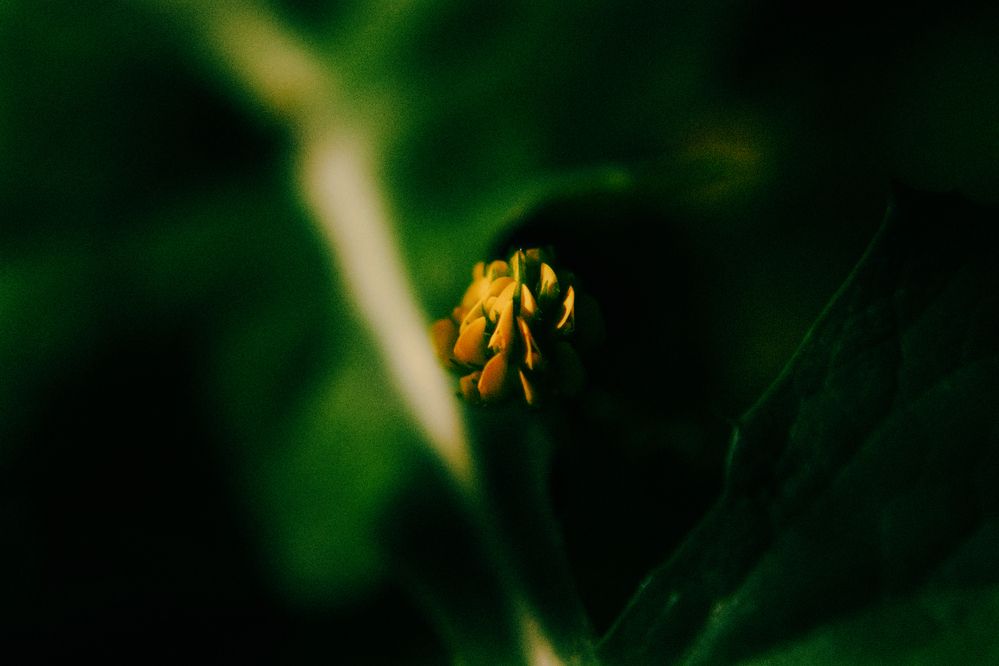 Photograph by Denis Naryshev