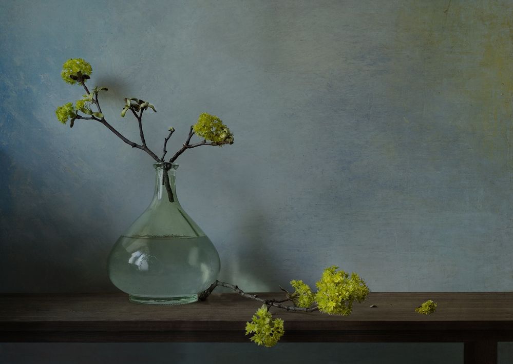 Photograph by Светлана Захарова