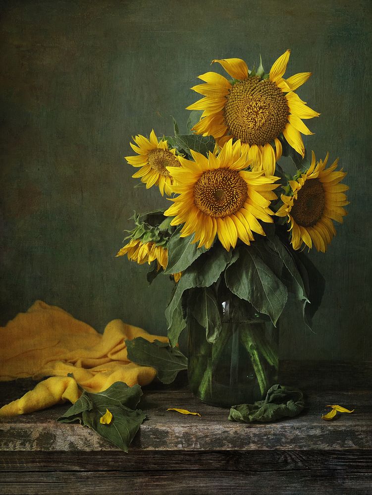 Фотография автора Svetlana Inyusheva