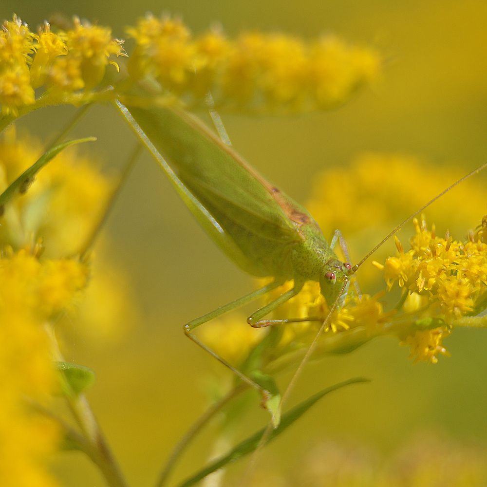 Фотография автора Сергей Суворов