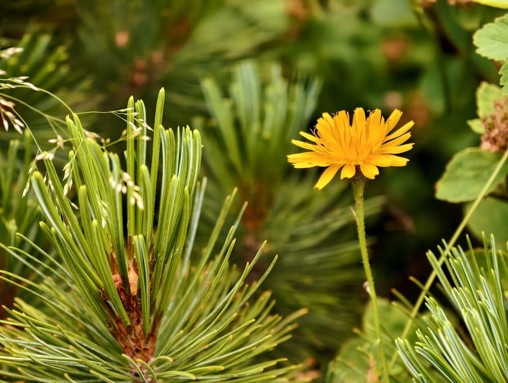 Photograph by Галина