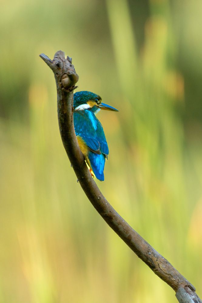 Photograph by esti lahat