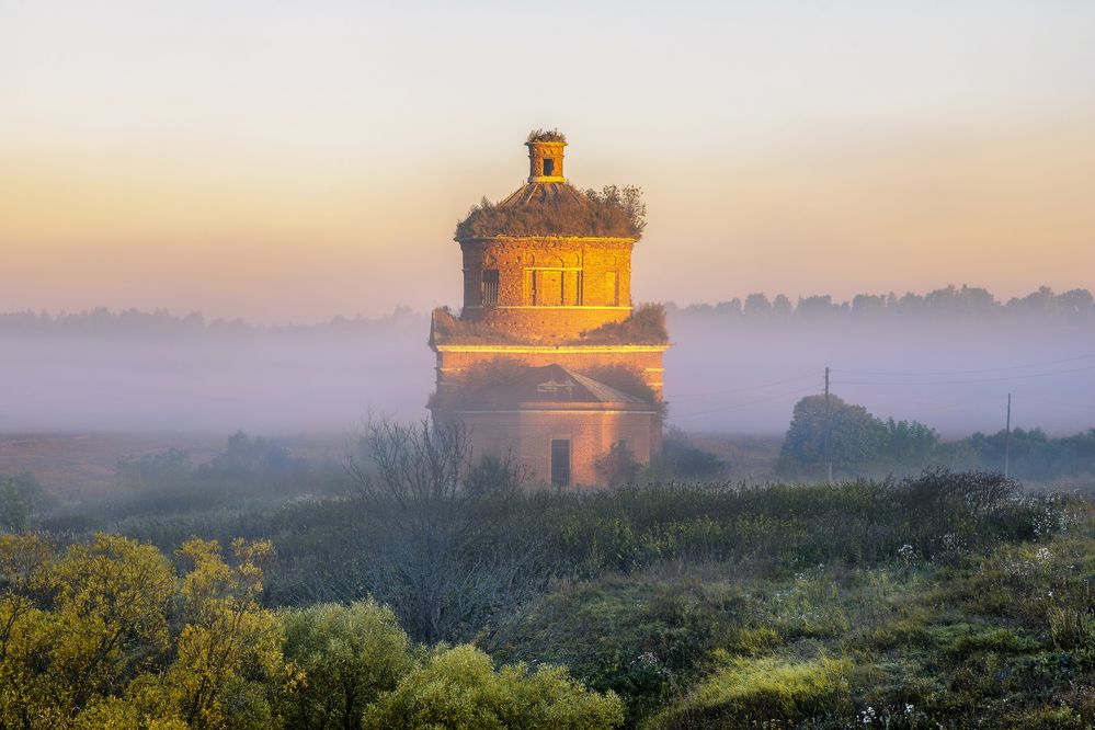 Photograph by Елена Нечипоренко