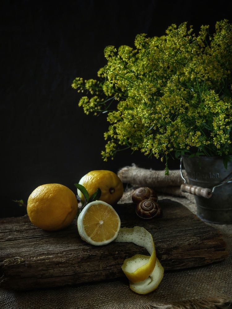 Photograph by Angelica Medvedeva