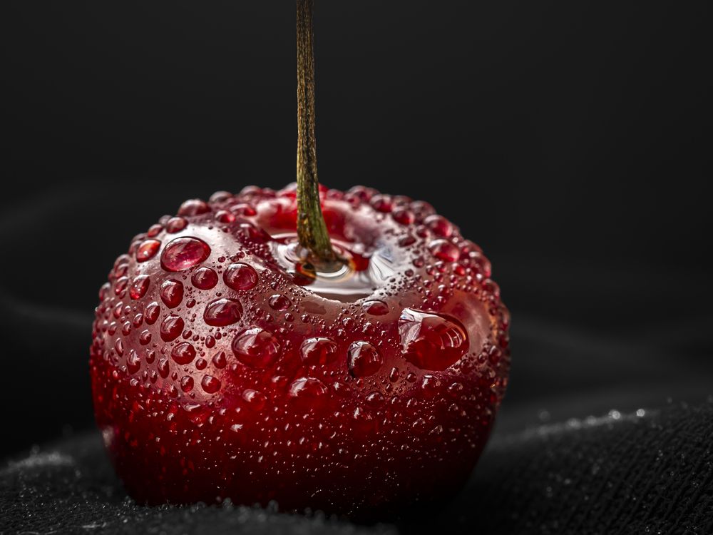 Photograph by Nadezhda Zakharova