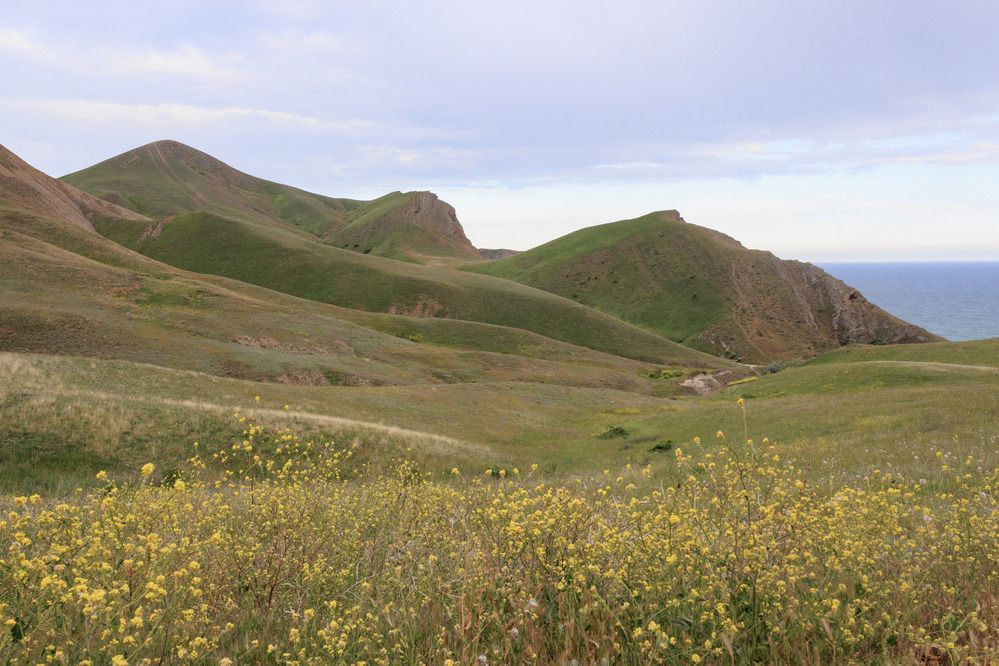 Фотография автора Ярослав Качура