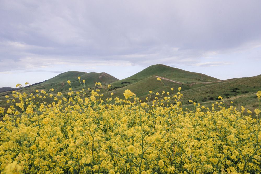 Фотография автора Ярослав Качура