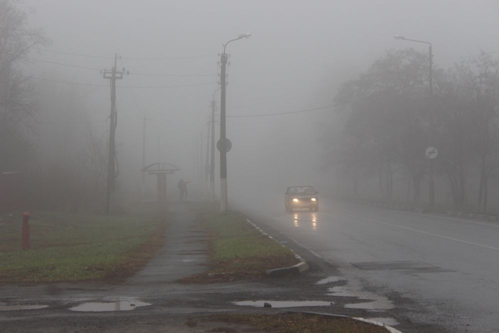 Photograph by Светлана Шубина