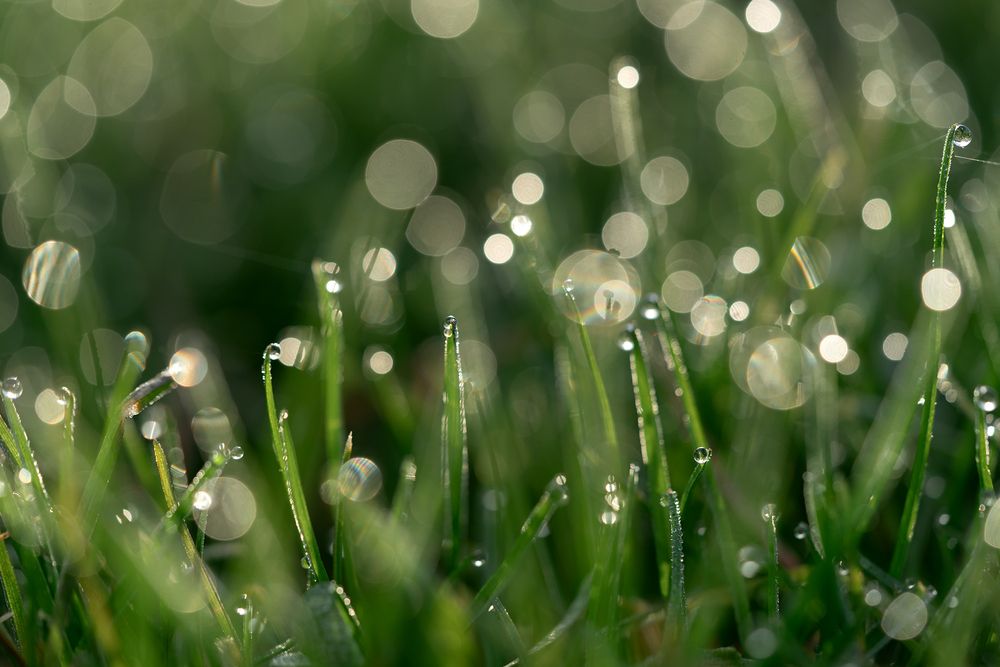 Photograph by Завьялова Людмила