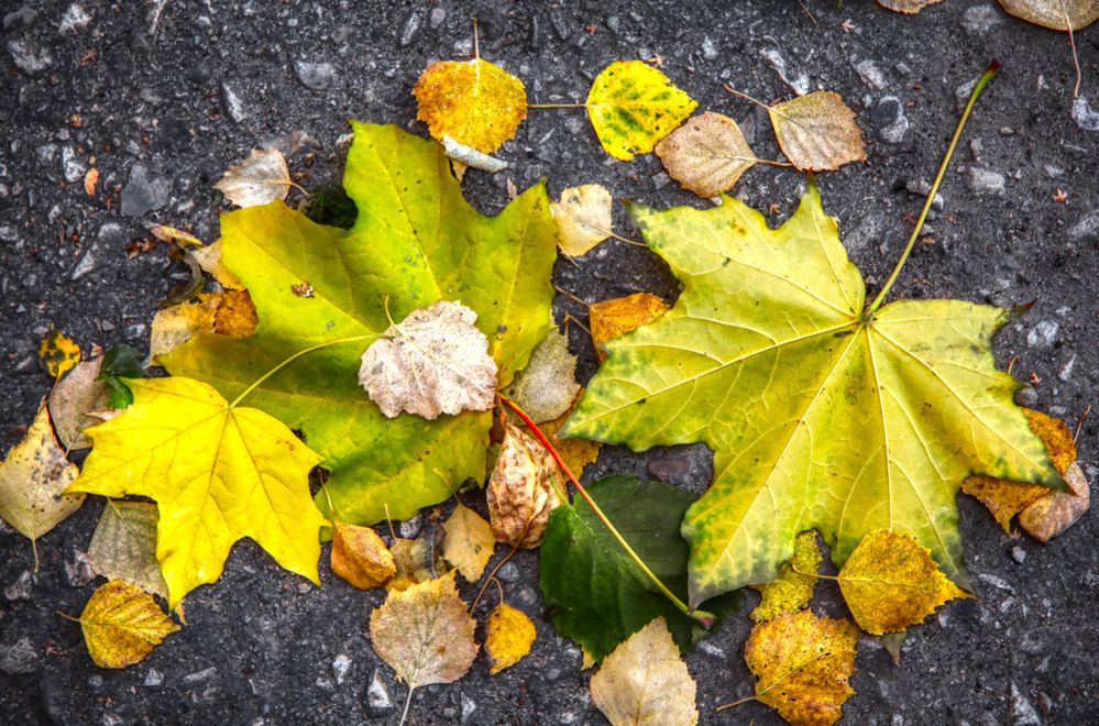 Photograph by Андрей Хитров