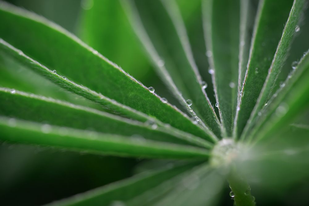 Photograph by Завьялова Людмила