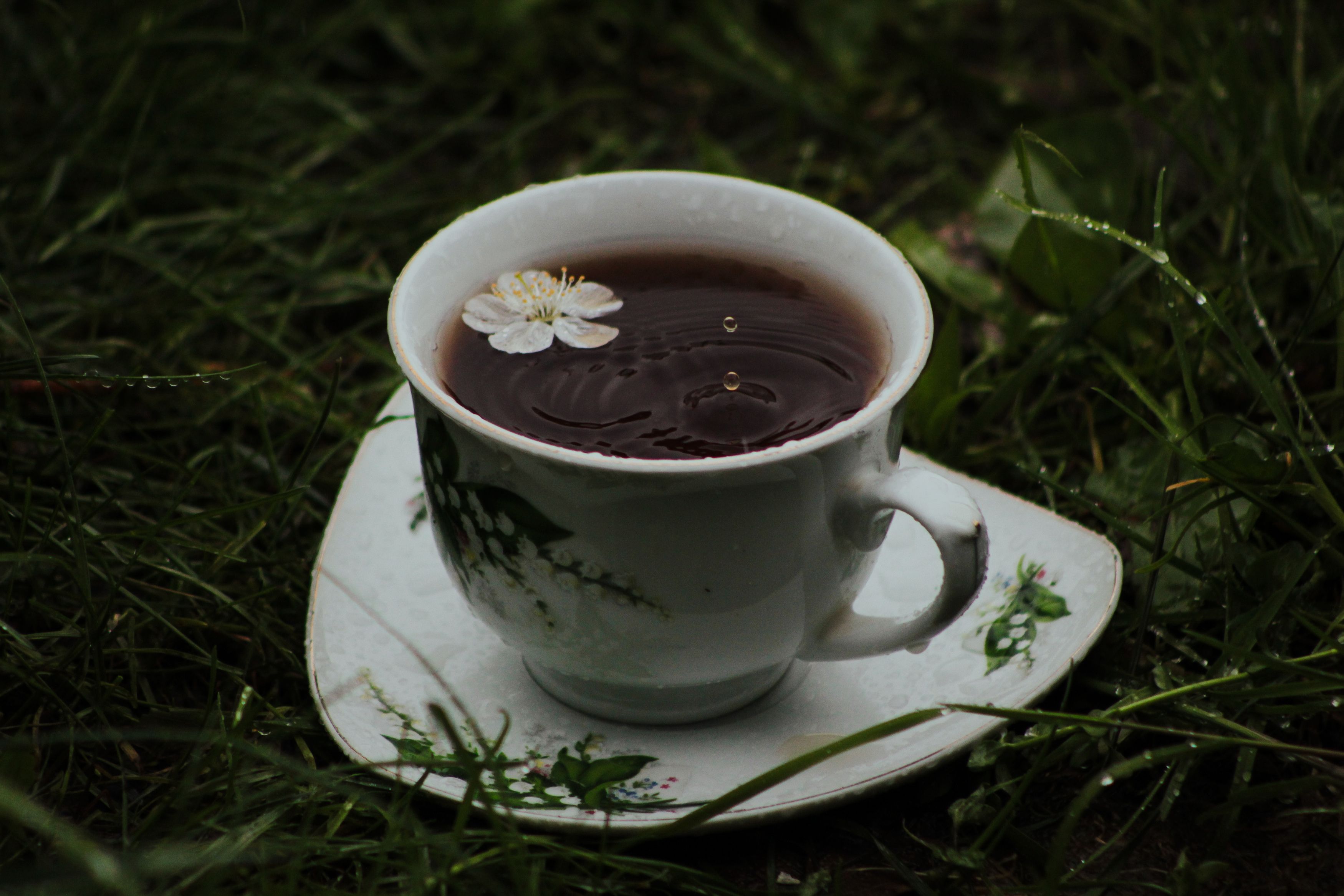 Photograph by Карманов Сергей