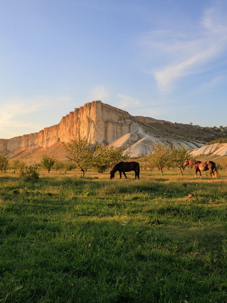 Фотография автора Ярослав Качура