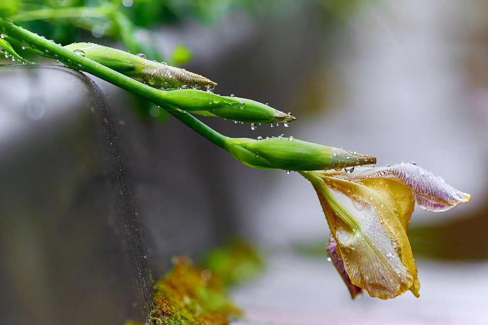 Photograph by Дмитрий Казачек