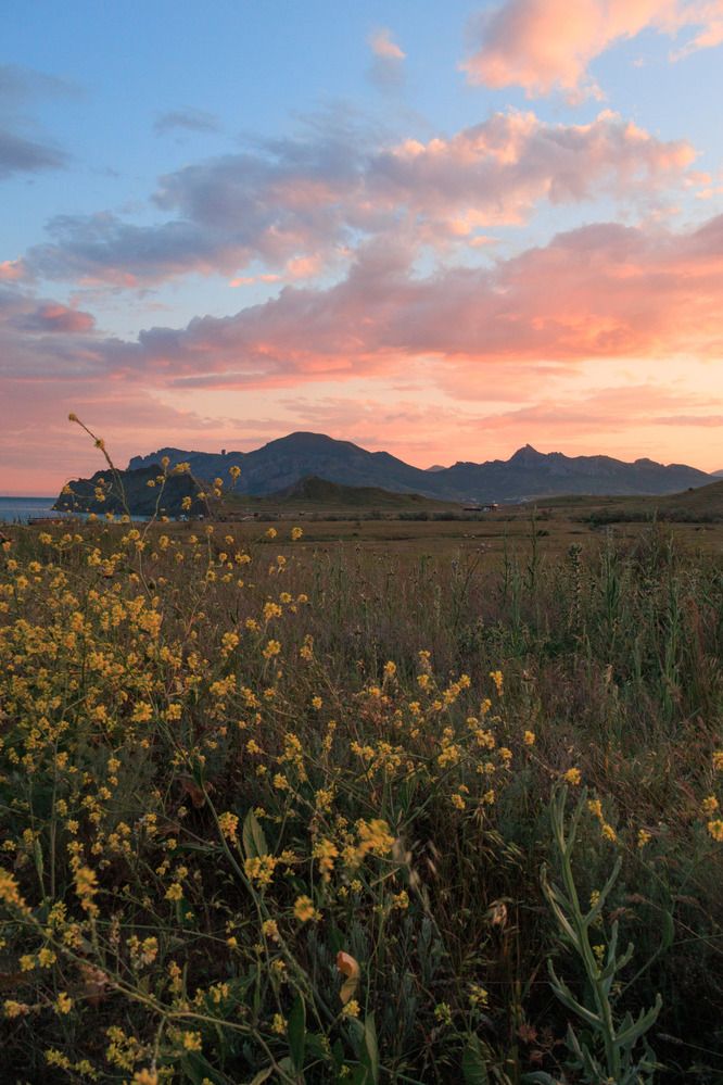 Фотография автора Ярослав Качура